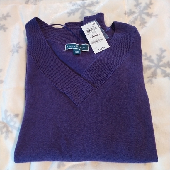 Karen Scott Classic Purple Cotton Pullover V Neck Sweater Top L - Picture 4 of 9